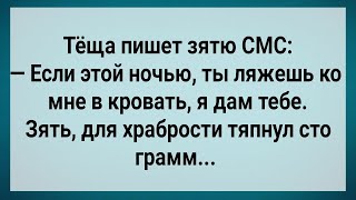 Как Зять По Ночам к Теще Ходил! Сборник Свежих Анекдотов! Юмор! Позитив!