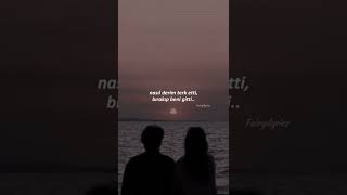 Nasıl Derim Terk Etti, Resimi