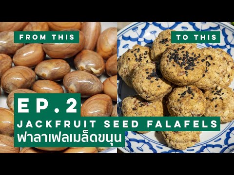 Waste-Not, Want-Not | Ep. 2 Jackfruit Seed Falafels