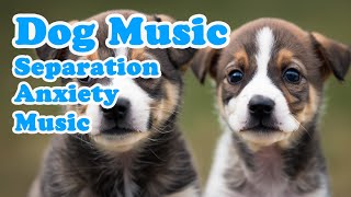 Peaceful Piano Music to Calm Dogs  Soothing Music to Relieve Stress and Anxiety, Dog Music