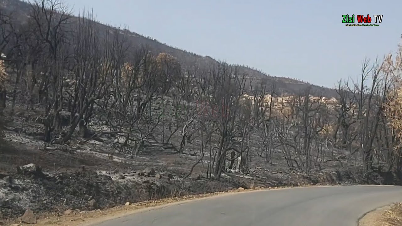 Vu Sur La Route Du Village 