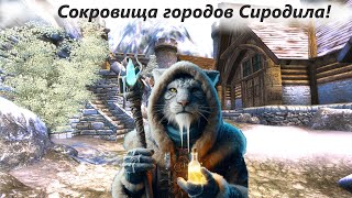 The Elder Scrolls IV: Oblivion►"Сокровища Городов Сиродила" на 1 Уровне! Брума!