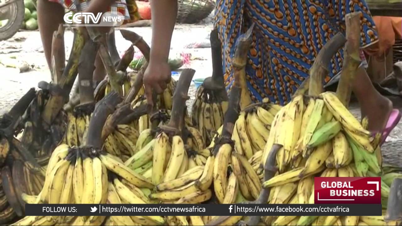 Discontent growing over high cost of living in Cote d'Ivoire YouTube