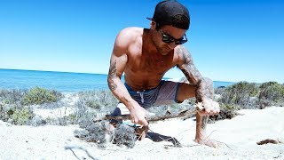 GIANT CRAYFISH CATCH AND COOK Stick Spear Fail With $20 Knife (Amazing Dolphins) - Ep 119
