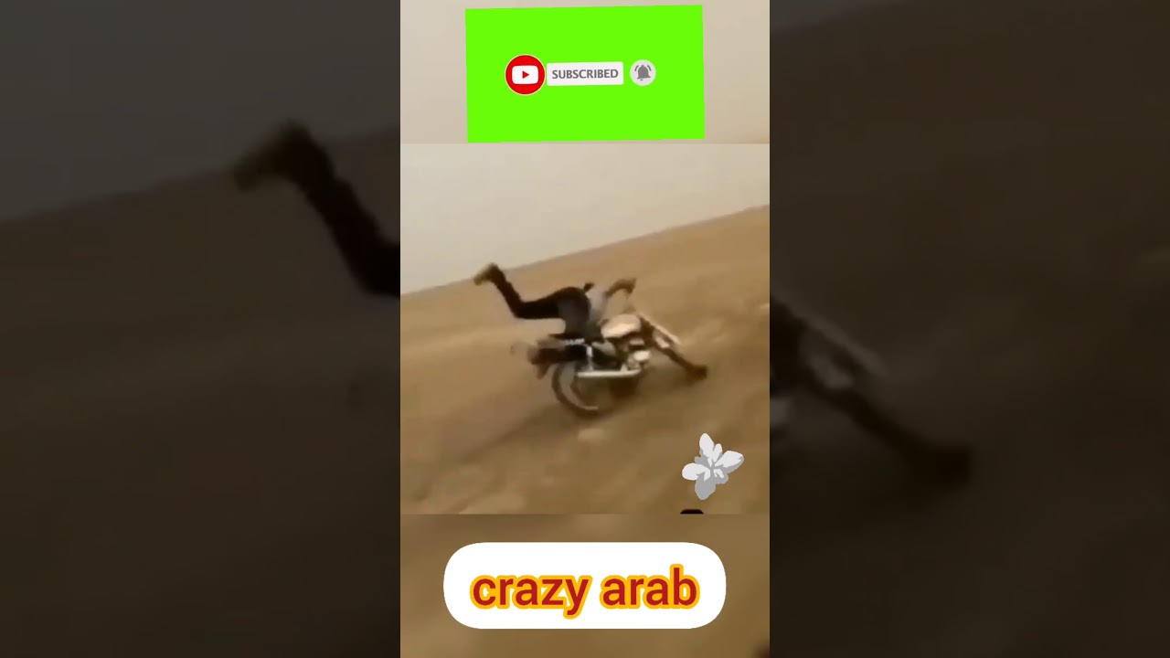 Regardez crazy arab #shorts sur YouTube Regardez crazy arab #shorts sur YouTube