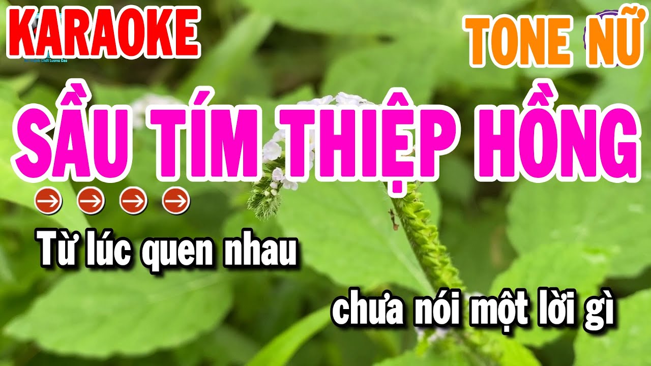 Sầu Tím Thiệp Hồng Karaoke Nhạc Sống Tone Nữ Dễ Hát | Thanh Hải Organ