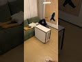 【狭い部屋の答え】出しっぱなしにしないダイニングテーブル#折りたたみテーブル #省スペース家具 #shorts #cuumy