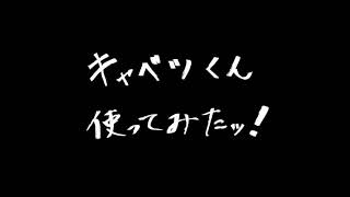 手動キャベツスライサー【キャベツくん】が楽すぎた！
