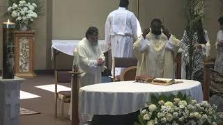 Santa Misa - IV Domingo de Pascua - 26 de abril de 2026