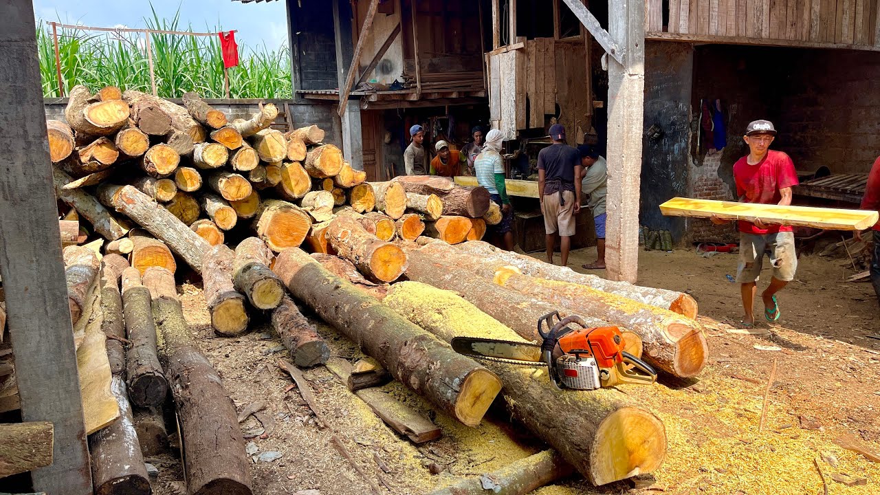 Special!! Skills for Quickly Sawing Jackfruit Wood.