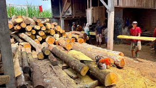 Istimewa Keterdanilan Menggergaji Kayu Nangka Dengan Cepat
