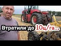 Сіяли озимі - зібрали ярі! Втратили до 1т/га. Дискування Bednar SwifterDisc 8m із Versatile 2375