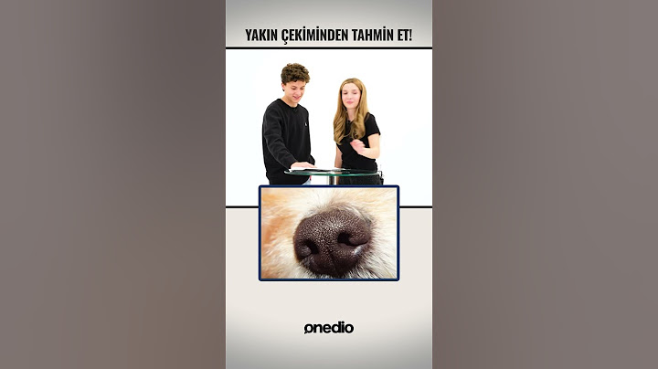 Yakın Çekiminden Tahmin Et 😂 Ecrin Su Çoban ve Çağan Efe Ak Yarışıyor 😂 #shorts