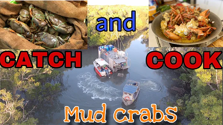 Catch and cook mud crabs @Darwin Northern Territor...