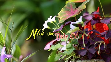 Nhớ ơn thầy cô