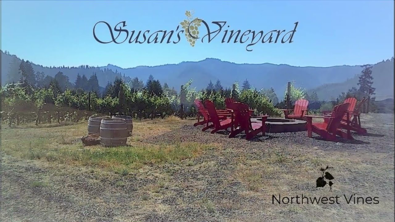 Susan's Vineyard in Yoncalla, Oregon.  Northwest Vines.  Oregon Wines Delivered.