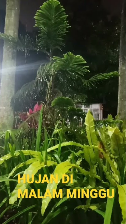 HUJAN DI MALAM MINGGU