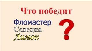 Лайфхаки.  Фломастер, селедка, лимон.  Что победит?