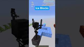 Minecraft Wither Skeleton IQ Test