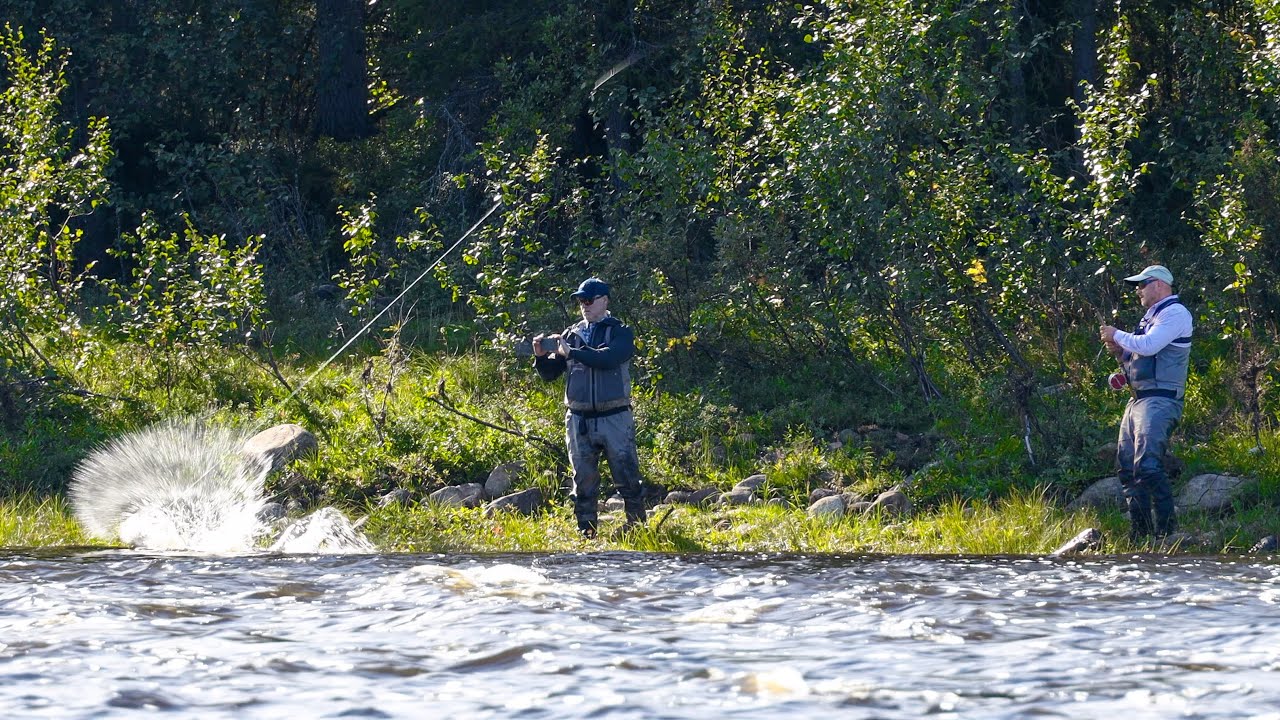 Kalaukko Fly Fishing