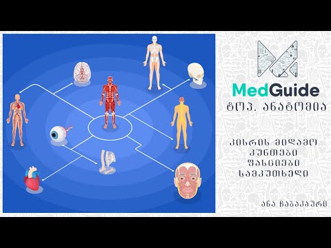 Medguide/მედგიდი - ტოპ. ანატომია: კისრის მიდამო-კუნთები, ფასციები, სამკუთხედები