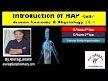 Human anatomy & Physiology Introduction || Chapter-1/L-1