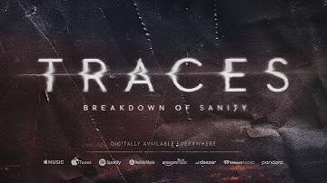 Breakdown of Sanity  - Traces (Official Audio)