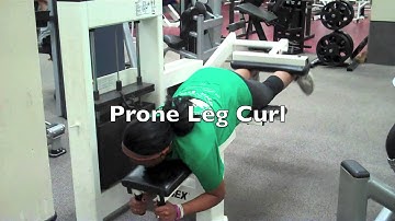Prone Leg Curl/ Prone Leg Curl Machine