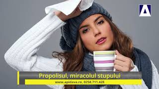 tinctura de propolis pentru oxiuri