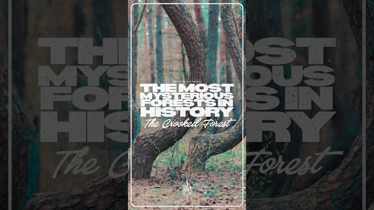 5 Most Mysterious Forests In History, Part 2 | Episode 259
