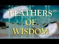 Badamb  feathers of wisdom official audio