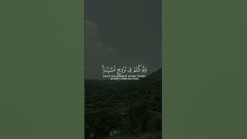 أينما تكونوا يدرككم الموت /سورة النساء |الشيخ ياسر الدوسري