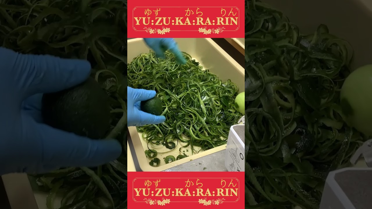 Kochi grown yuzu being peeled for our yuzukararin.