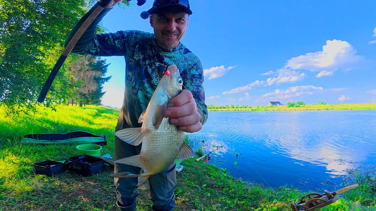 Senvagėje ir užtvankoje bandžiau pagauti lyną,karosą,karšį su  method feeder ant naujų boiliukų!