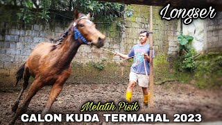 Kuda Renggong Reva Muda  Melatih Pisik Bintang Reva