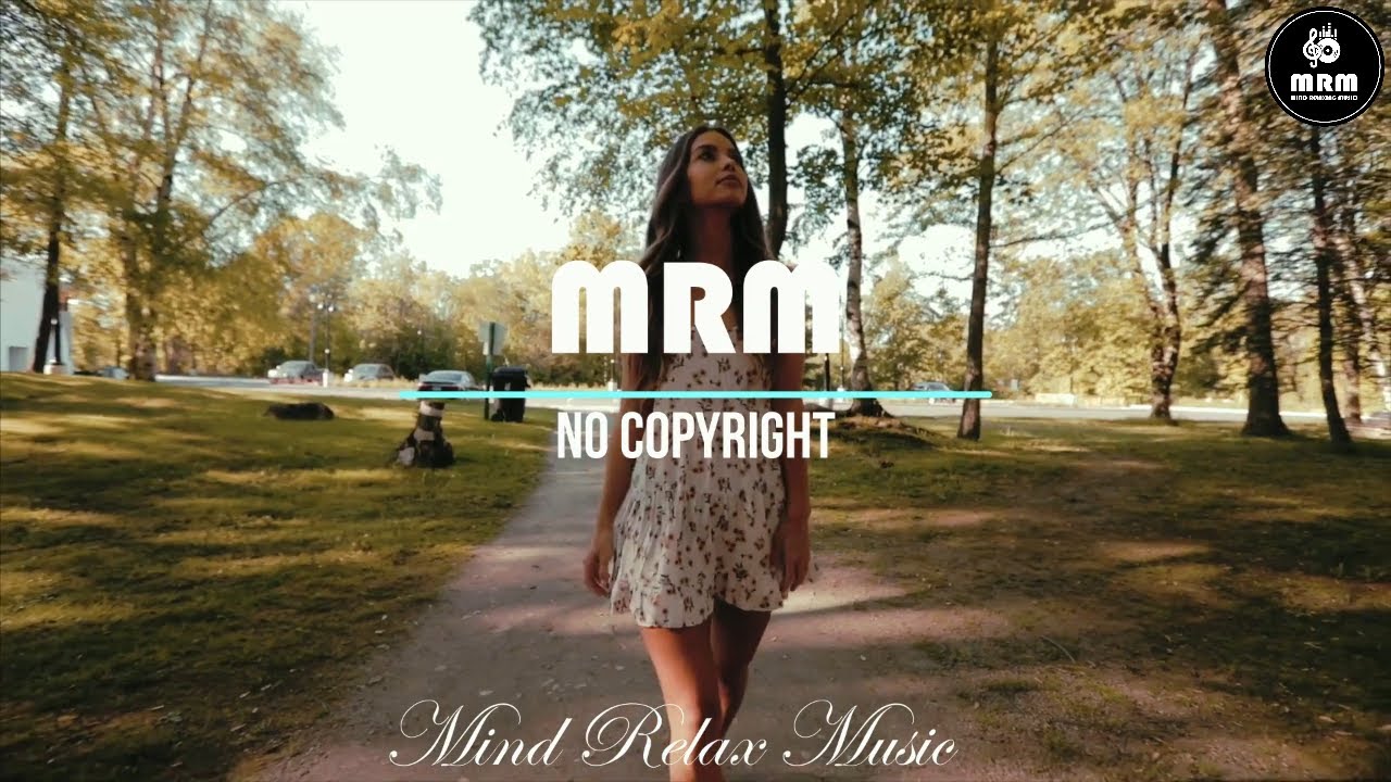 Happy Chill Positive Background Music No Copyright Royalty Free Download