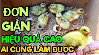 Cách Ấp Trứng Vịt Tại Nhà Đơn Hiệu Quả Cao Ai Cũng Làm Được | Simple Duck Egg Hatching