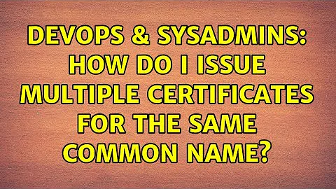 DevOps & SysAdmins: How do I issue multiple certificates for the same Common Name? (2 Solutions!!)