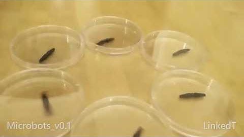 Functional Microbots from Big Hero 6
