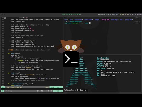 Kitty - Fast, Featureful, GPU Based Linux Terminal Emulator