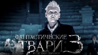 Фантастические твари и где они обитают 3 / Fantastic Beasts and Where to Find Them 3 -обзор на фильм