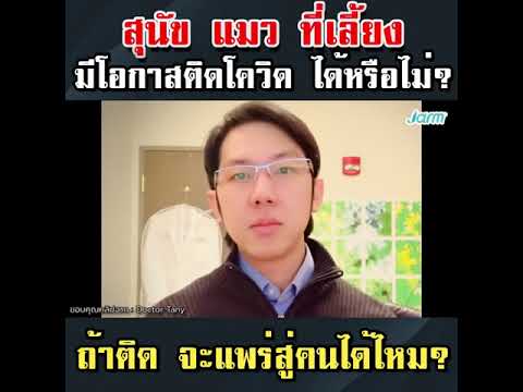 วีดีโอ: สุนัขสามารถรับ CoQ10 ได้หรือไม่?