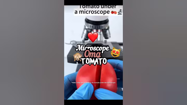 Tomato Under Microscope 😱 | Tiny World You’ve Never Seen! 🔬🍅"