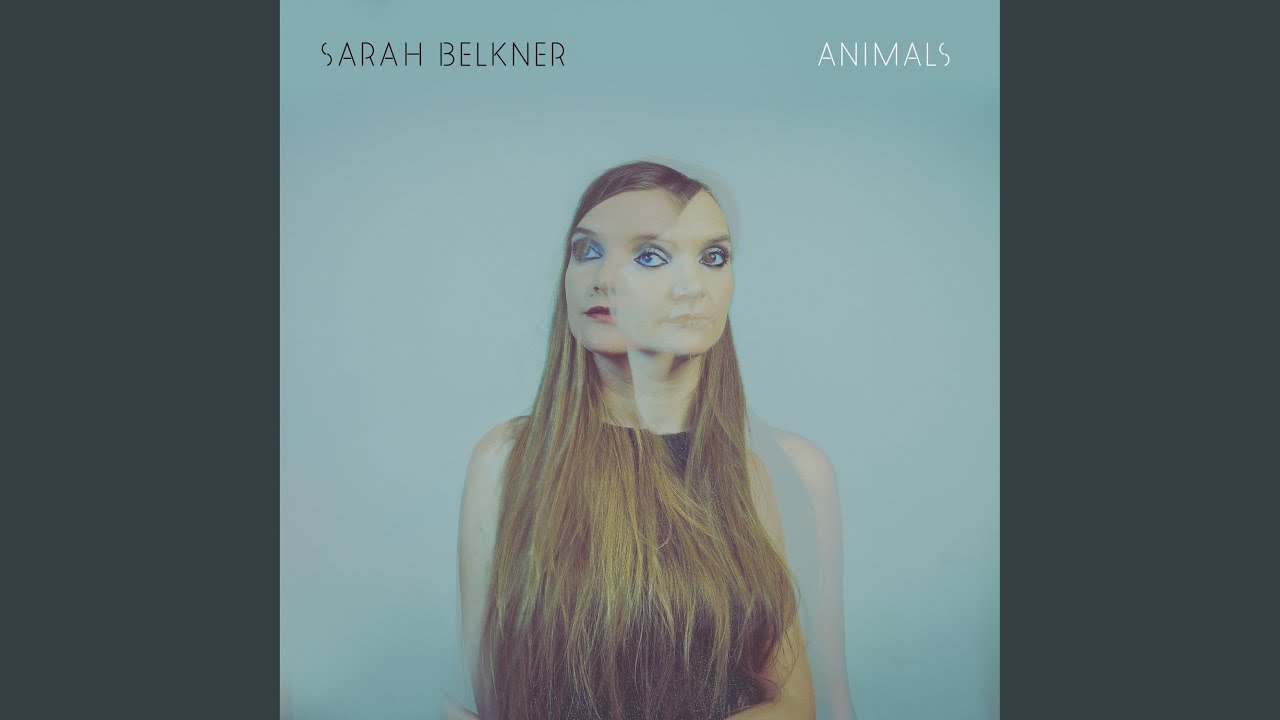 Watch Animals on YouTube Watch Animals on YouTube