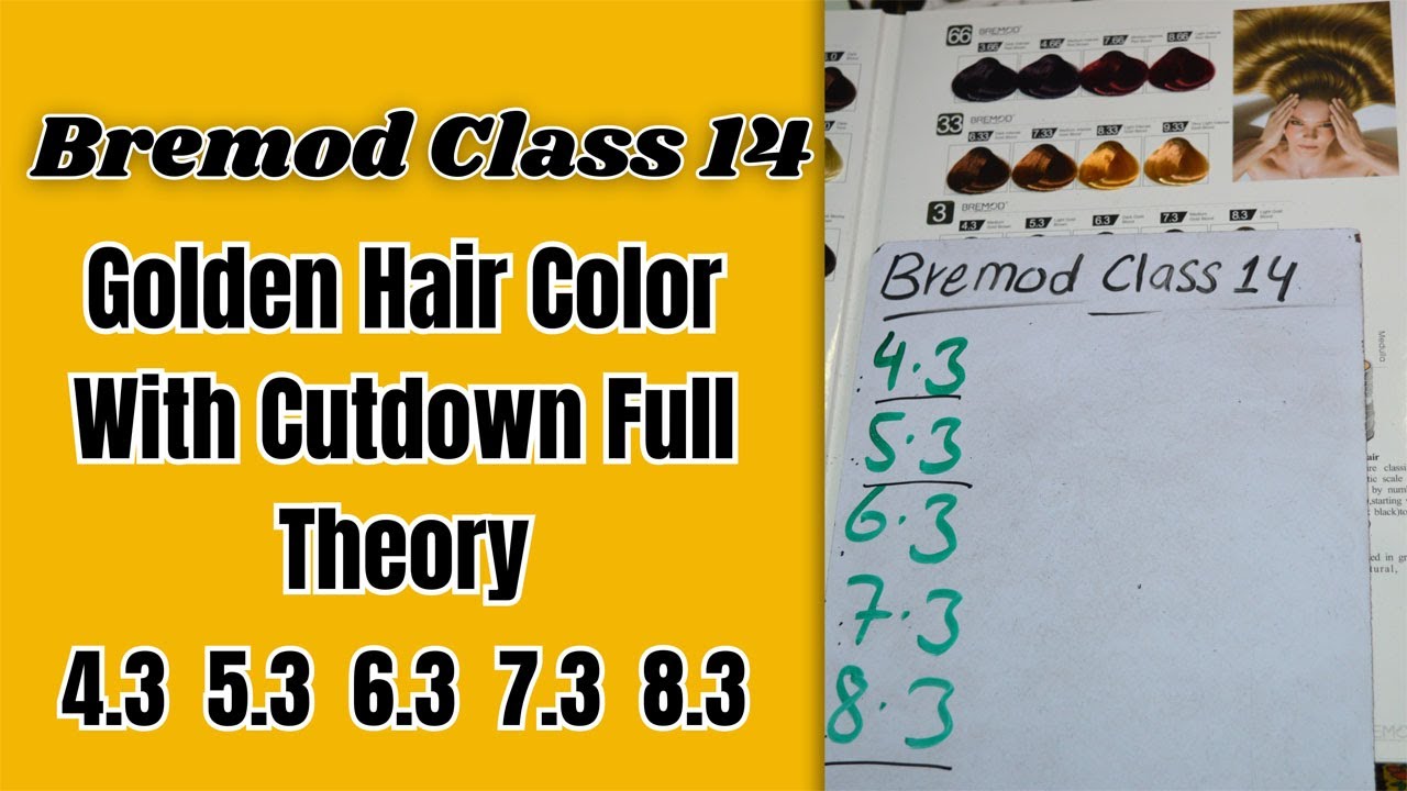 Bremod Hair Color Class 14 Golden Hair Color With Cutdown Full Theory By The Stylish Mod