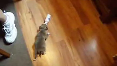 bottle chasin'
