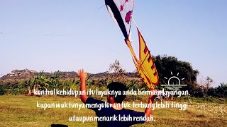 Story WA 30 detik || Layangan Tut Wuri Handayani