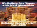 Las Vegas Walkthrough: Bellagio Conservatory, Fall of 2020