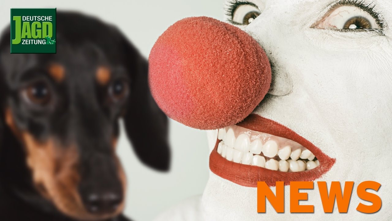 Angst Vor Clowns Angst Vor Clowns