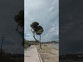 Seaside Walk 🌊 Kavouri Beach • Race for Autism GR 2026